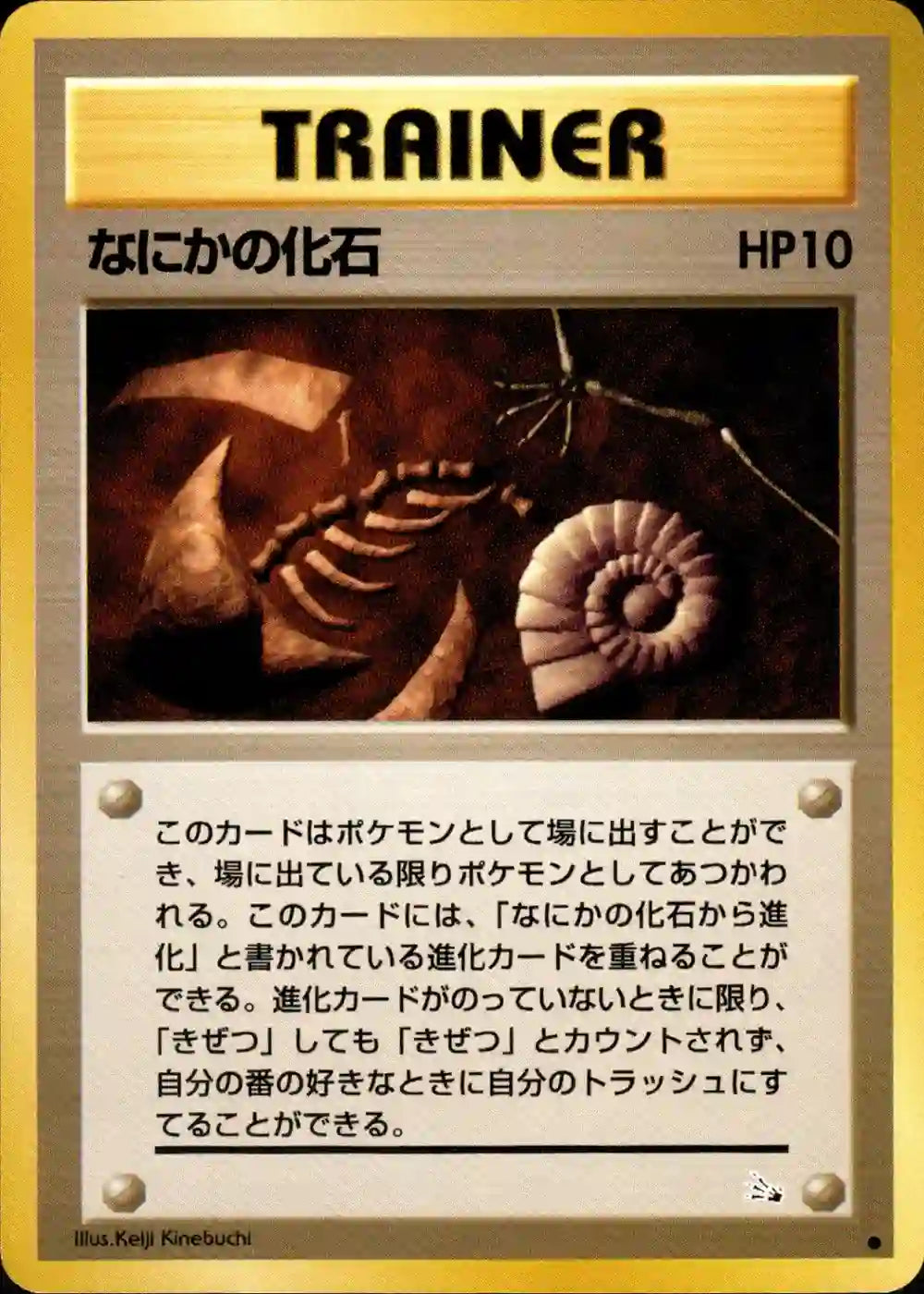 Mysterious Fossil – OnlyJody