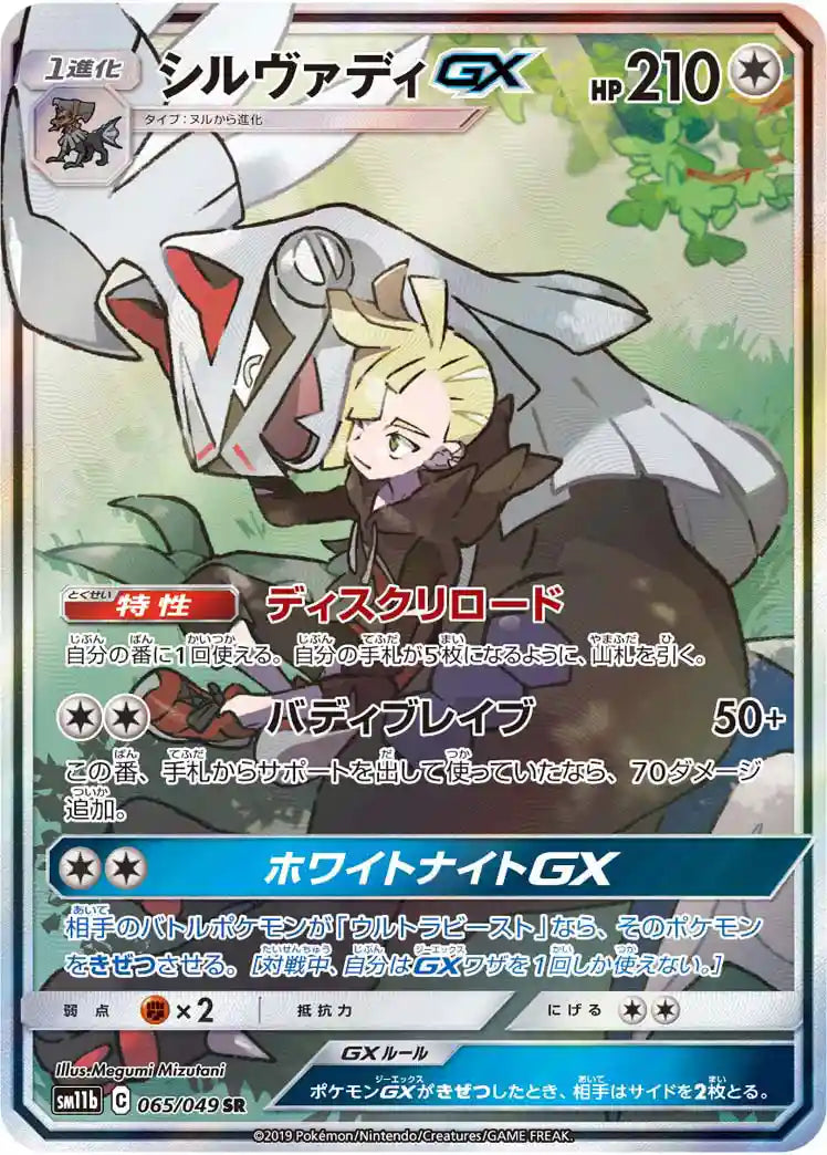 Silvally GX sm11b 065/049 SR