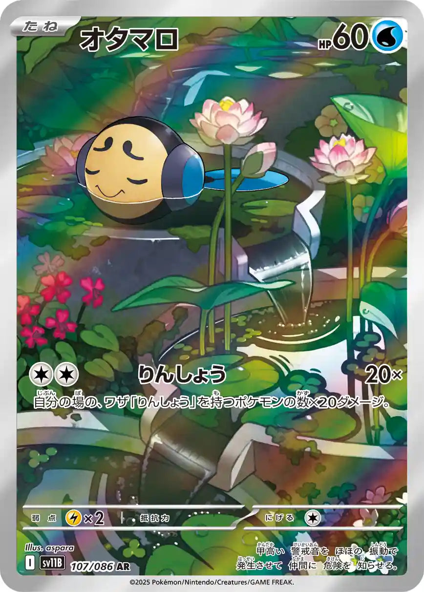 Tympole sv11B 107/086 AR