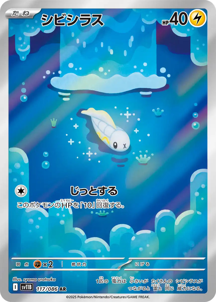 Tynamo sv11B 117/086 AR