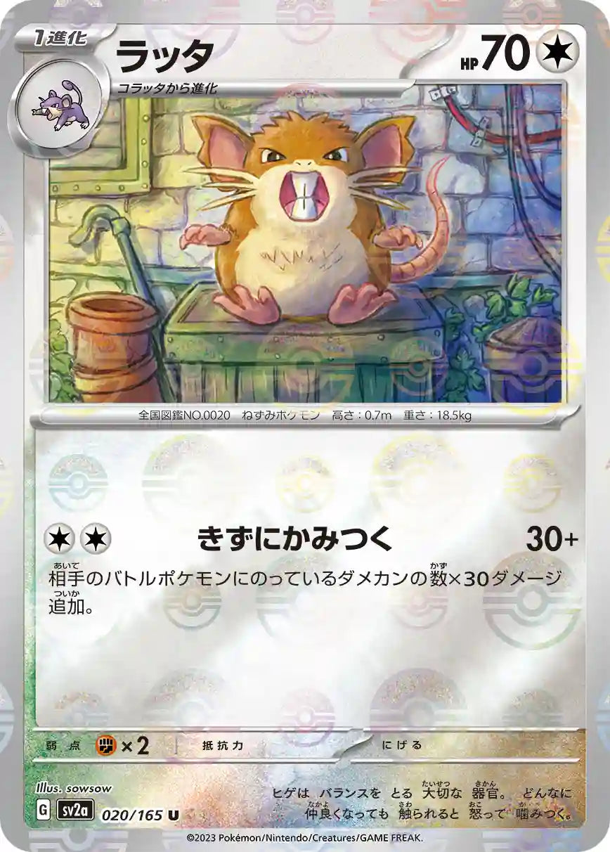 Raticate sv2a 020/165 (Poké Ball Reverse)