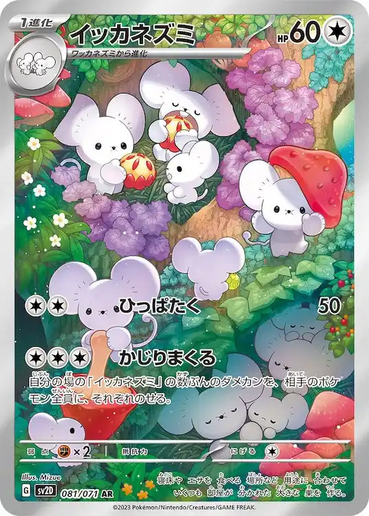 Maushold sv2D 081/071 AR