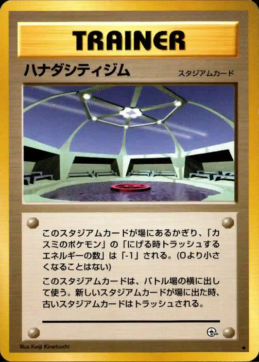 Cerulean City Gym