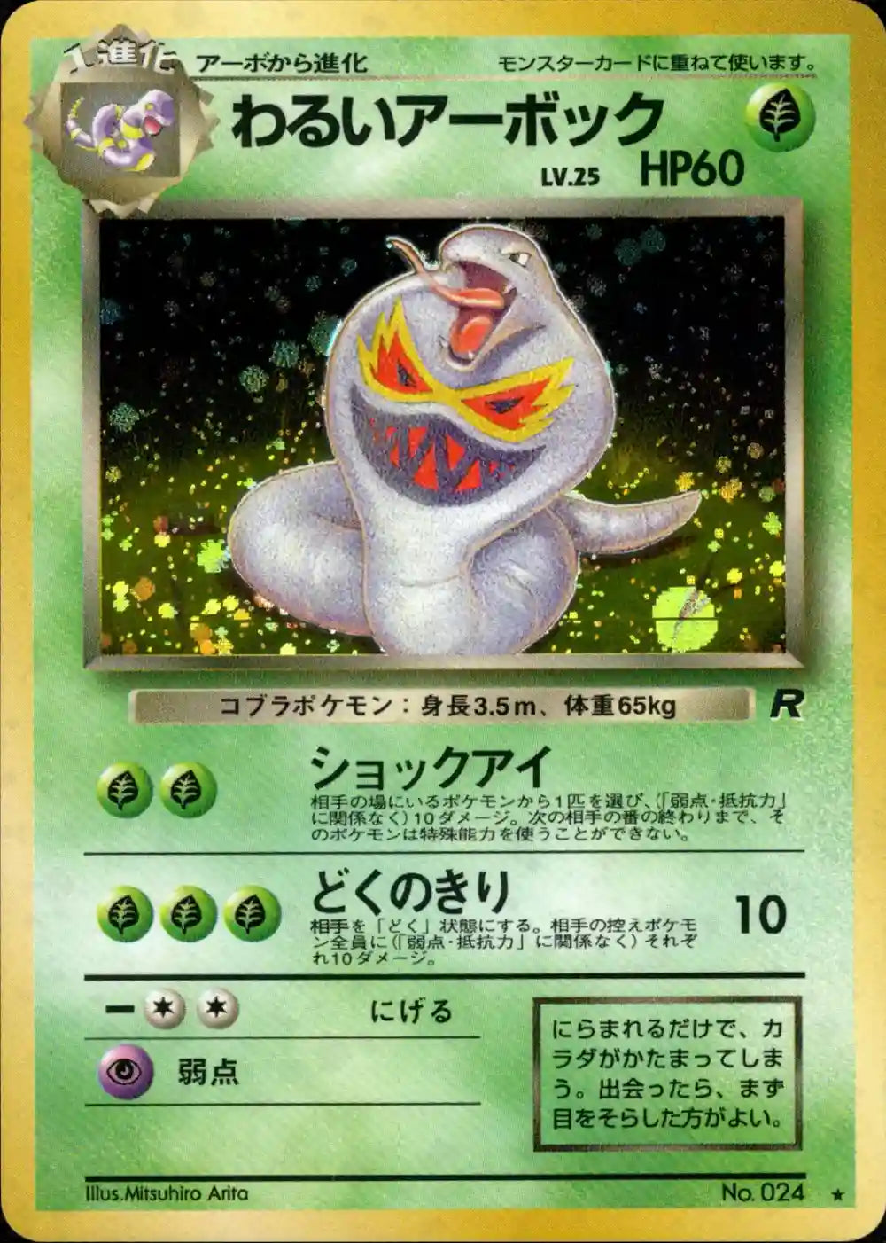 Dark Arbok No. 024 Holo