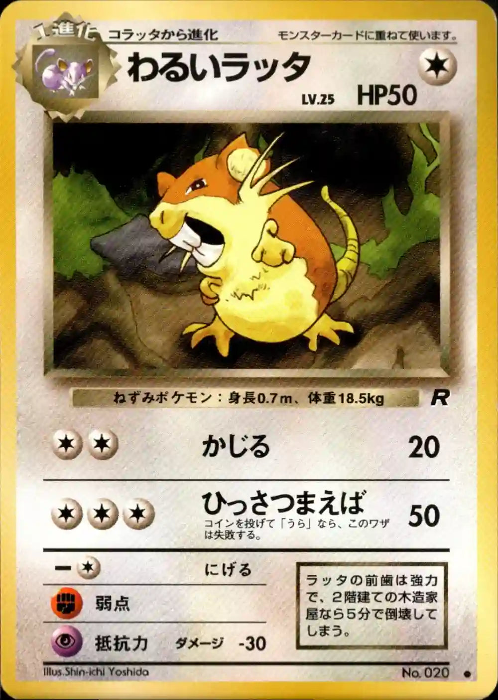 Dark Raticate No. 020