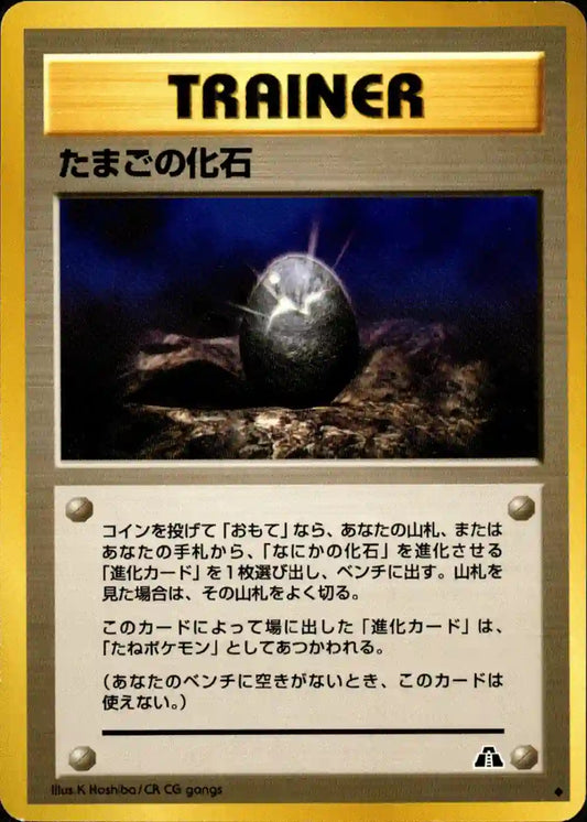Fossil Egg