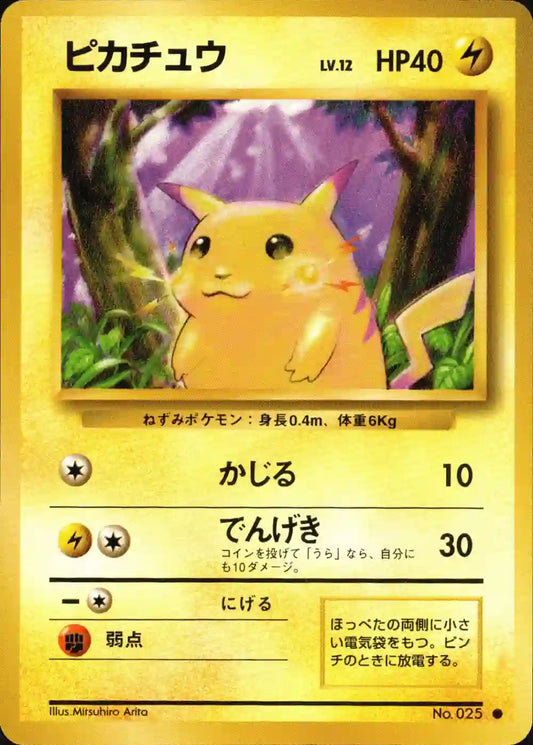 Pikachu No. 025