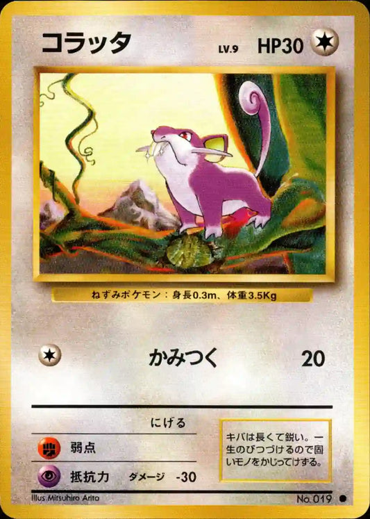 Rattata No. 019