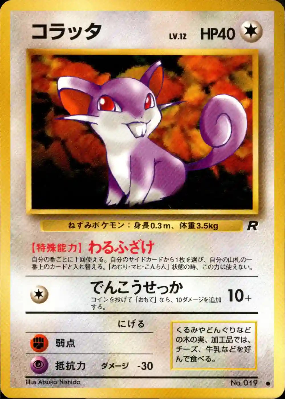 Rattata No. 019