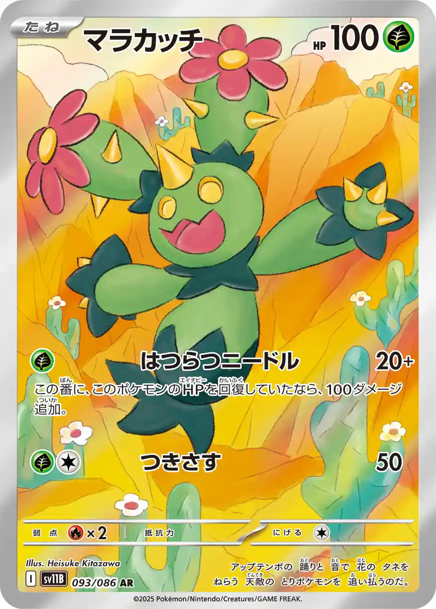 Maractus sv11B 093/086 AR