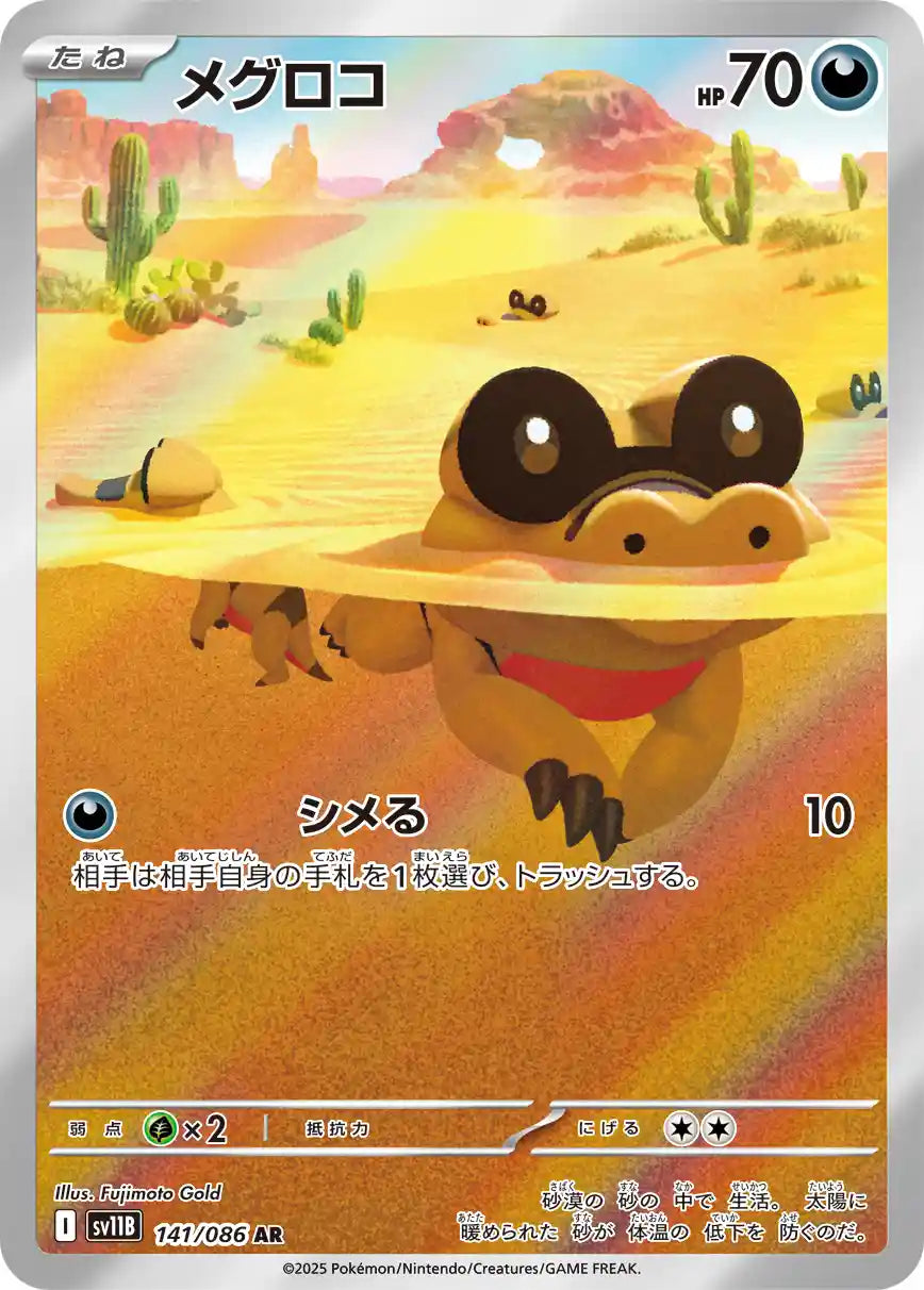 Sandile sv11B 141/086 AR